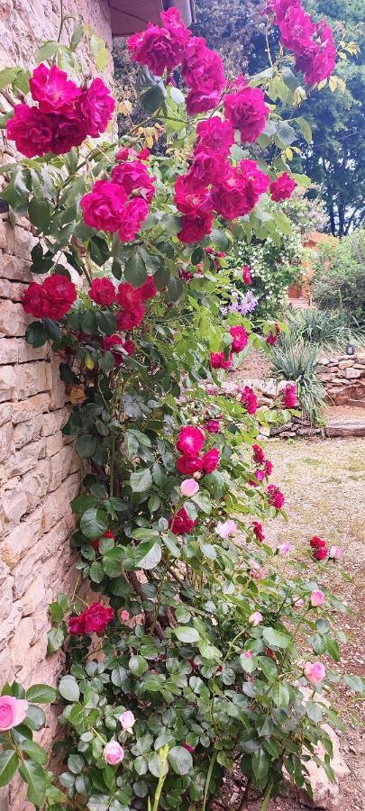 Aux Couleurs D'Esteil Sainte-Nathalène 外观 照片